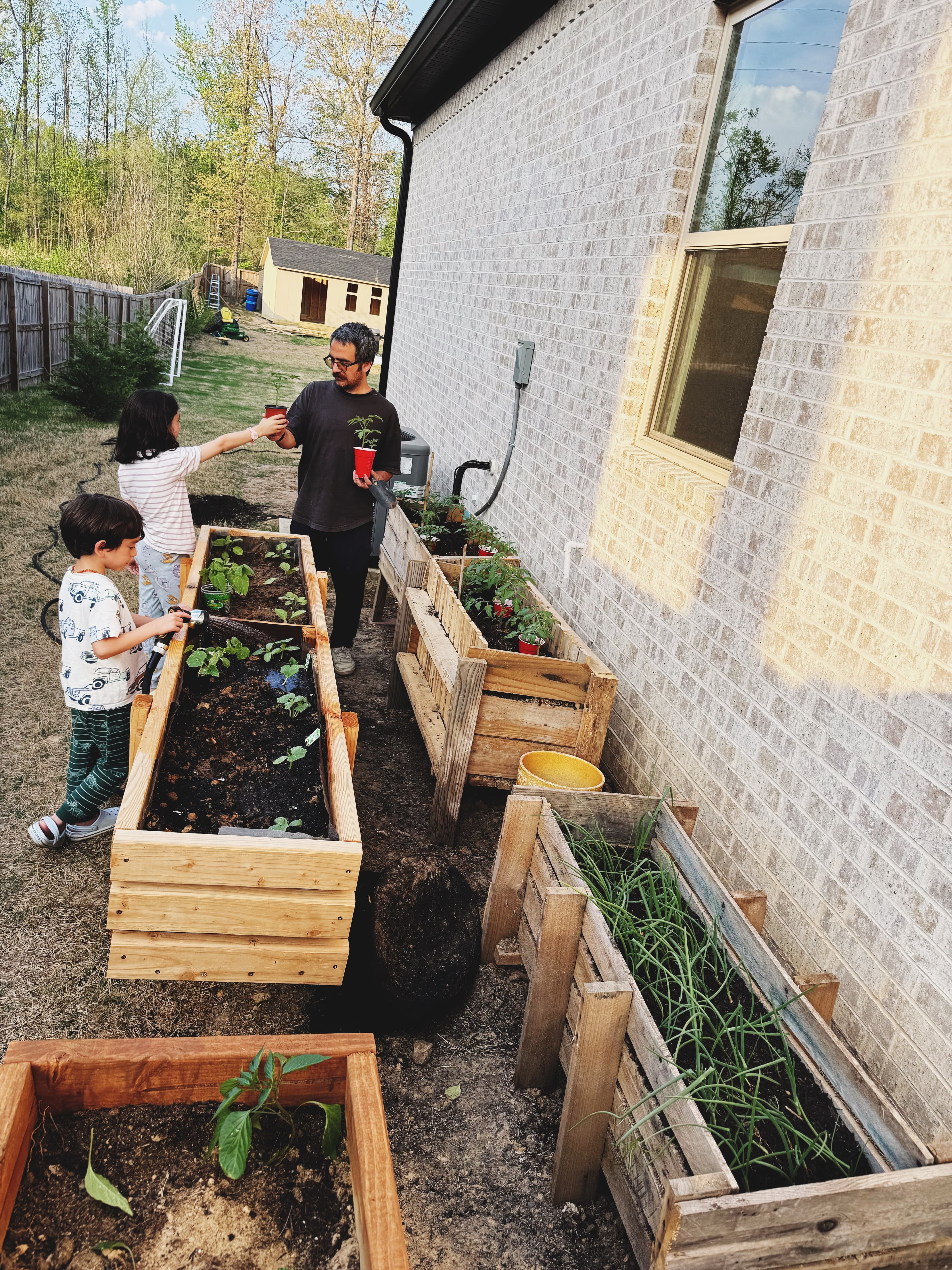 Bahçede sebze tarhı, yeni sezon hazırlığı